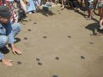 060622-Lepas-Tukik.jpg