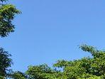 060622-cerah.jpg