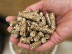 41122_Pelet-Kayu.jpg