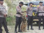 Anjing-pelacak-K-9-mengendus-bau.jpg