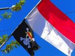 BENDERA-ONE-PIECE-Tampak-bendera-dalam-film-animasi-One-Piece.jpg