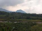 BERITA-NASIONAL-Tanah-adat-belum-dijual-tapi-sudah-dilelang.jpg