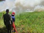 Kebakaran-lahan-terjadi-di-Kelurahan-Molosipat-W-099.jpg