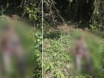 PENEMUAN-MAYAT-Seorang-pria-tergeletak-tak-bernyawa-di-kebunnya.jpg