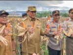 Panen-jagung-di-Desa-Tabongo-Timur.jpg