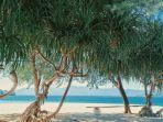 Suasana-di-Pulau-Saronde-Gorontalo-Utara.jpg