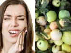 daun-jambu-biji-untuk-obat-sakit-gigi.jpg