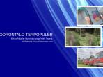 gtlo-trppler.jpg
