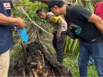 2 Tahun Hilang, Pemuda Ini Ditemukan Tewas dalam Pohon Aren, Hanya 20 Meter dari Rumahnya