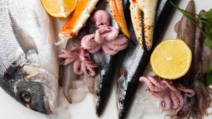 Ilustrasi aneka ikan, makanan sehat bernutrisi tinggi yang bagus untuk mendukung tumbuh kembang anak