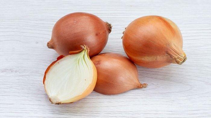 Ilustrasi bawang bombai, berikut ini fakta konsumsi bawang bombai bagus untuk kesehatan