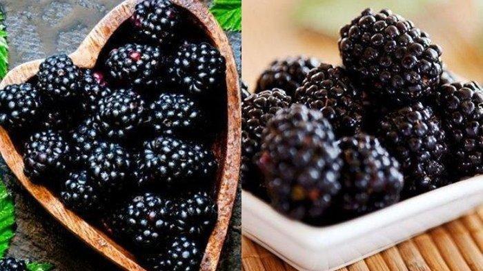 ilustrasui buah blackberry yang bagus untuk kesehatan