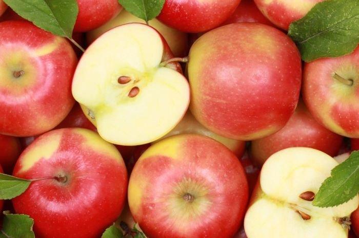 ilustrasi buah apel, makanan sehat bernutrisi tinggi yang bagus untuk mendukung tumbuh kembang anak