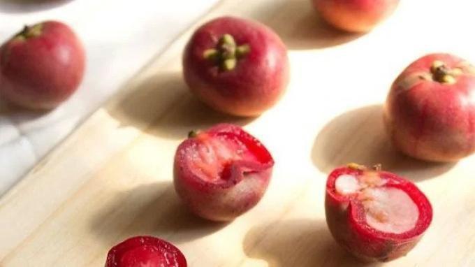 ilustrasi buah kokam yang mengandung prebiotik dan bagus untuk menurunkan kolesterol jahat
