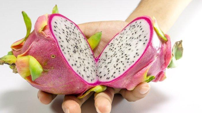 Ilustrasi buah naga, berikut manfaat mengonsumsi buah naga untuk ibu menyusui