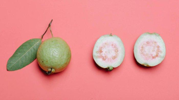 Cara mengolah daun jambu biji menjadi teh