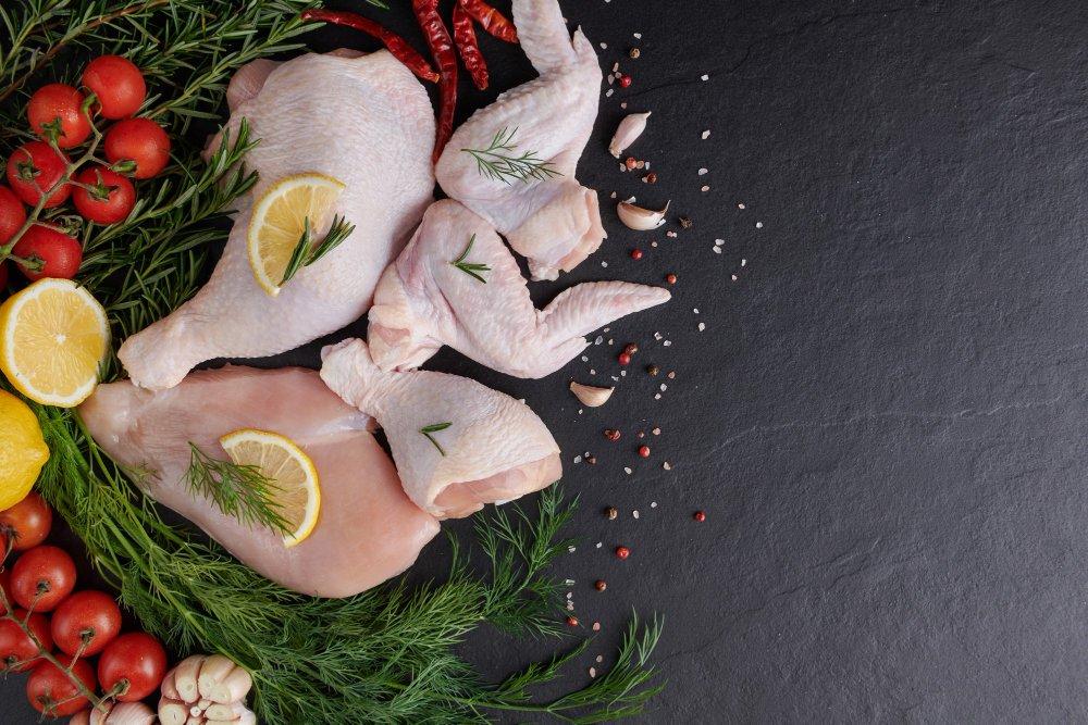 ilustrasi daging ayam