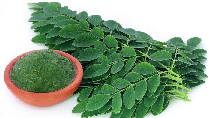 Daun kelor