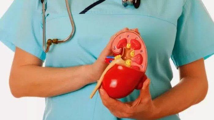 Waspada, Hipertensi Dapat Merusak Ginjal jika Tak Mendapatkan Penanganan, Simak Penjelasan Dokter