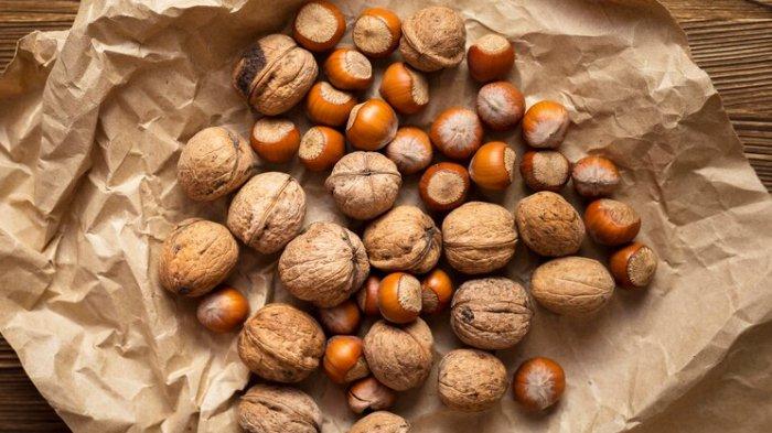 Ilustrasi hazelnut, berikut manfaat dari mengonsumsi kacang hazelnut