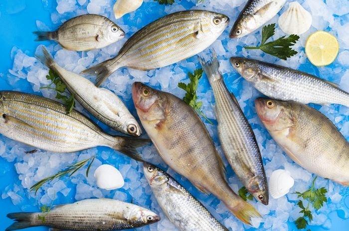 ilustrasi ikan tinggi merkuri, yang harus dihindari pasangan yang sedang mempersiapkan kehamilan