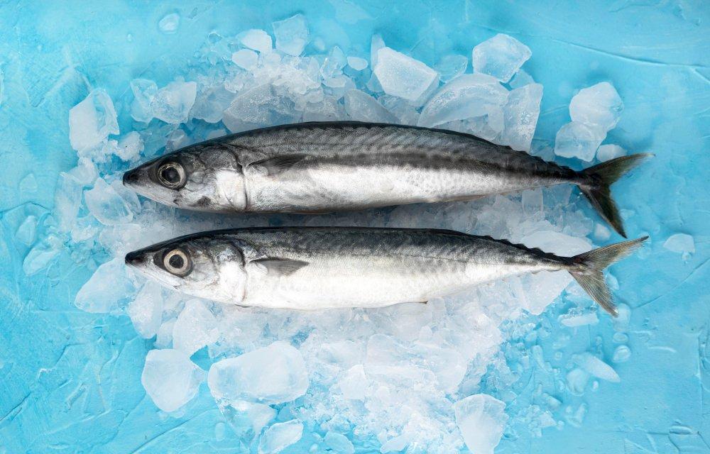 ikan beku
