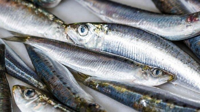 7 Sumber Makanan untuk Menurunkan Kadar Gula Darah, Murah dan Mudah Diolah