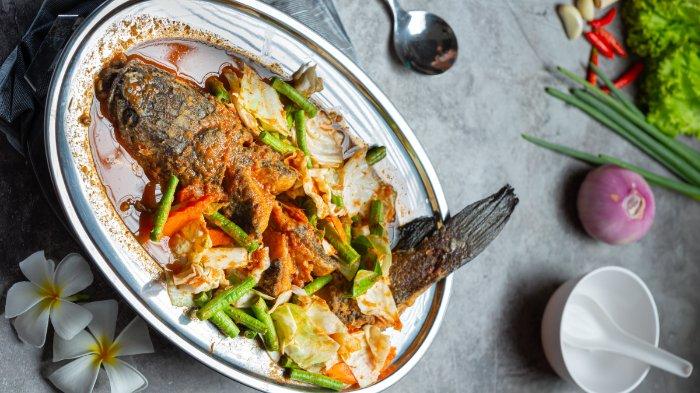 Ilustrasi ikan lele, berikut ini fakta ikan lele bagus untuk menu MPASI
