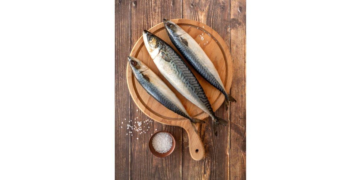 ilustrasi ikan tenggiri, jenis ikan yang sebaiknya tidak diberikan pada bayi usia di bawah 1 tahun