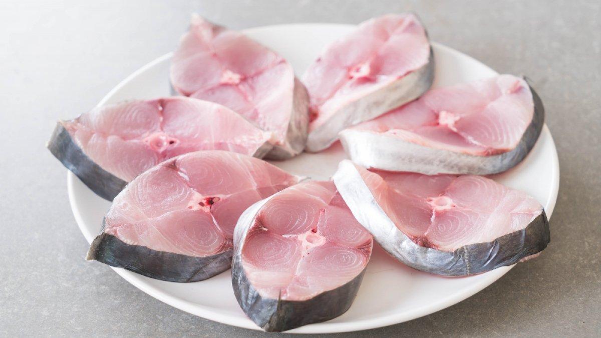 ilustrasi ikan tuna, ikan yang mengandung protein dan omega-3