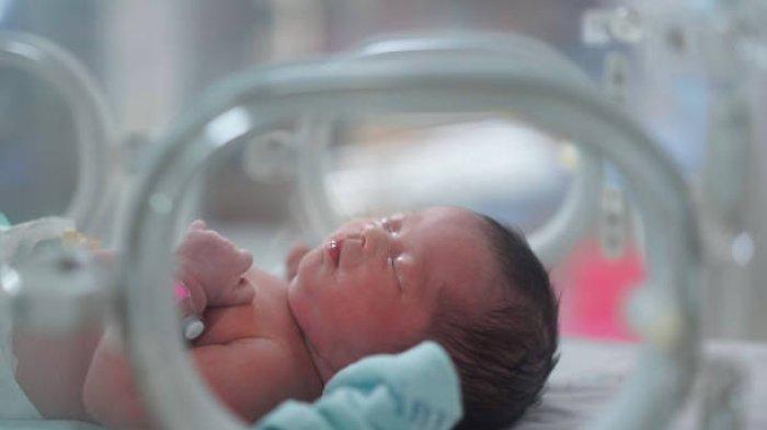Apakah Anak yang Lahir Prematur Memiliki Kecerdasan Lebih Tinggi Dibanding Anak yang Lahir Normal?