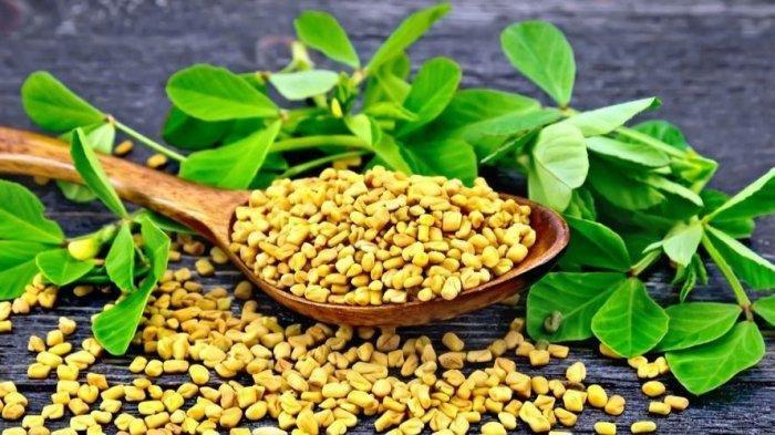 6 Bahan Alami yang Ampuh Mengontrol Gula Darah bagi Penderita Diabetes