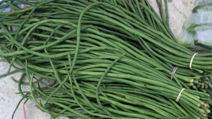 Ilustrasi- kacang panjang