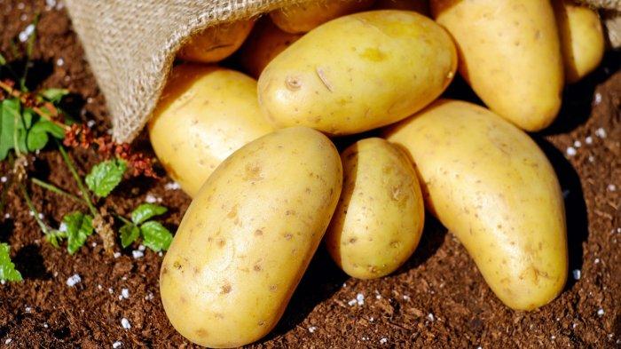 10 Manfaat Kentang untuk Kesehatan, Bantu Turunkan Berat Badan dan Kurangi Kemungkinan Infeksi