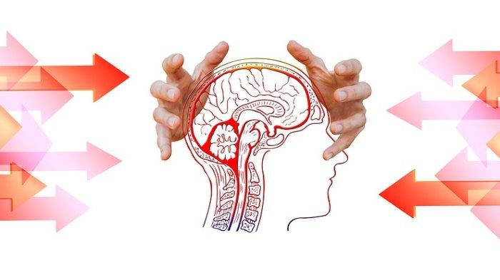 Apakah Psikosis Bisa Menjadi Kondisi Kambuhan? Begini Tanggapan Adib Setiawan, S.Psi., M.Psi