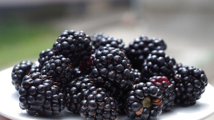 Ilustrasi nilai gizi blackberry