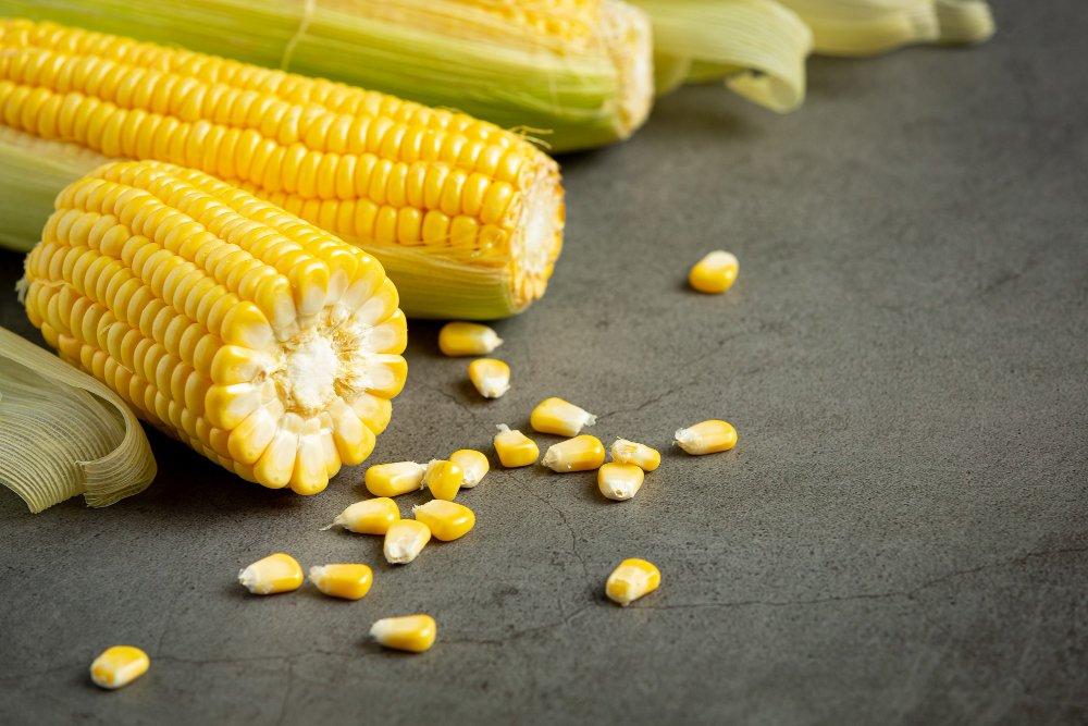 jagung 4