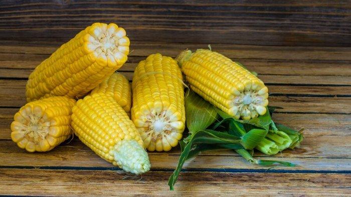 Apakah Pasien Diabetes Boleh Makan Jagung? Ini Tips Sehat Makan Jagung Cegah Lonjakan Gula Darah