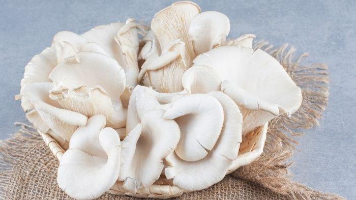 5 Keuntungan Sehat Makan Jamur Tiram, Mulai dari Turunkan Kolesterol hingga Bagus untuk Metabolisme