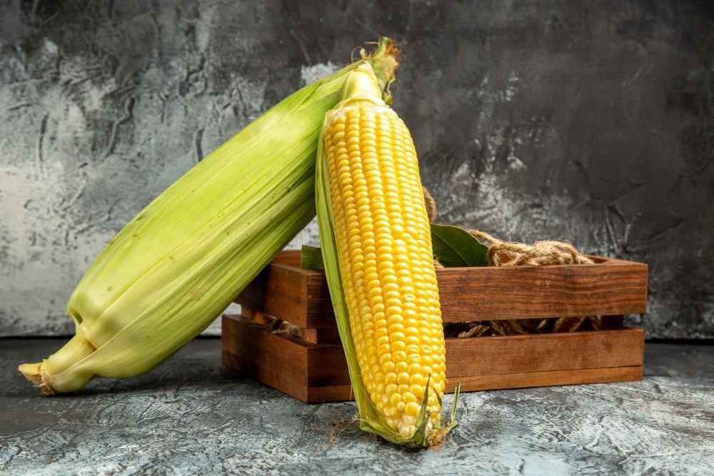 Ilustrasi jagung