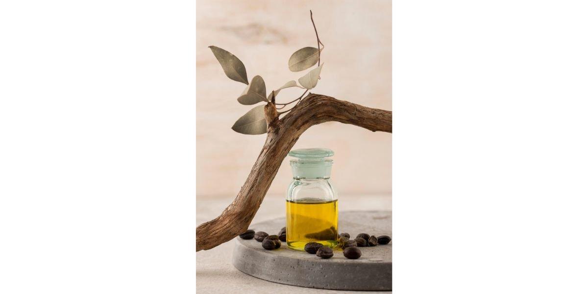 jojoba oil