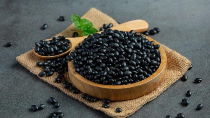 Ilsutrasi kacang hitam