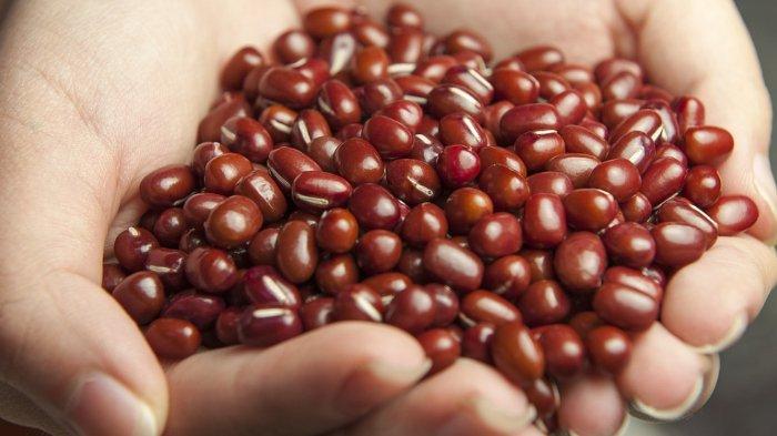 6 Khasiat Ajaib Makan Kacang Merah, Jaga Kadar Gula Darah hingga Melawan Radikal Bebas