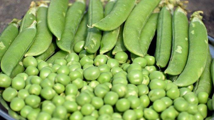 7 Alasan Harus Mengonsumsi Kacang Polong, Bagus untuk Kesehatan Usus hingga Jantung