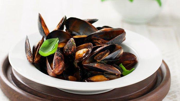 Ilustrasi kerang