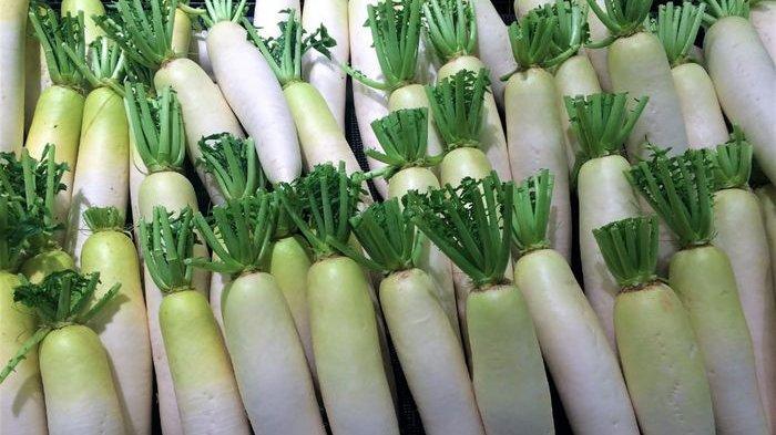 manfaat lobak hijau untuk kesehatan