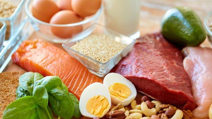 ilustrasi ragam makanan tinggi protein
