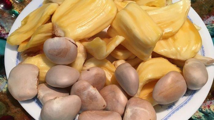 5 Manfaat Beton atau Biji Nangka, Menurunkan Tekanan Darah dan Cegah Anemia