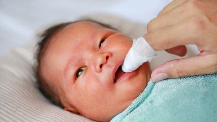 ilustrasi membersihkan rongga mulut bayi