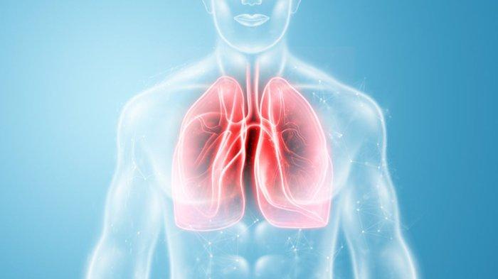 ilustrasi menjaga kesehatan paru-paru, berikut cara melakukan detoks paru-paru secara alami